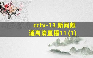 cctv-13 新闻频道高清直播11 (1)